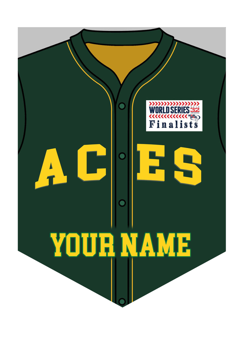 ACES Wall Shield