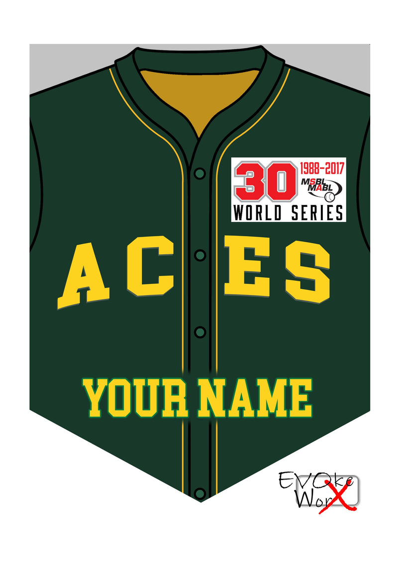 ACES Wall Shield