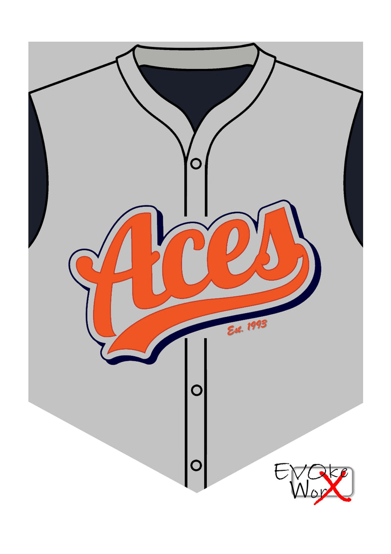 ACES Wall Shield