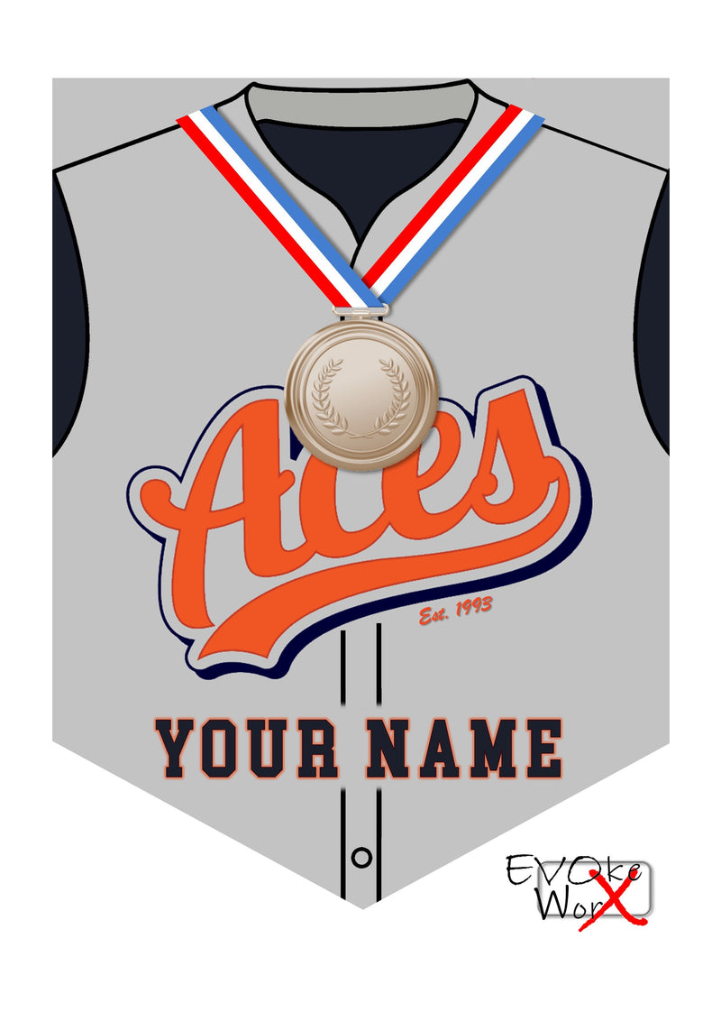 L’ACES Wall Shield