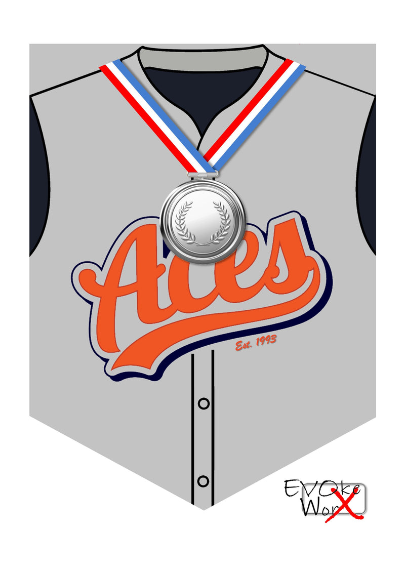 ACES Wall Shield