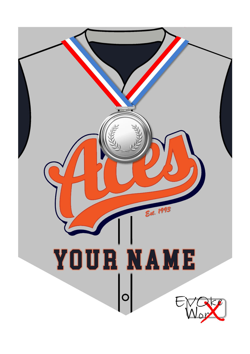 ACES Wall Shield