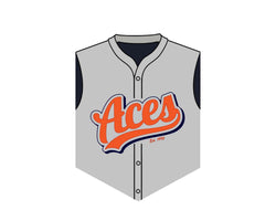 ACES Wall Shield