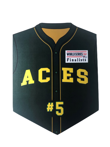 L’ACES Wall Shield
