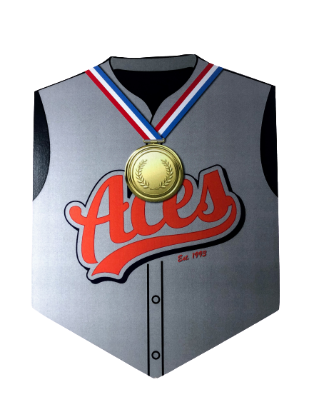 L’ACES Wall Shield