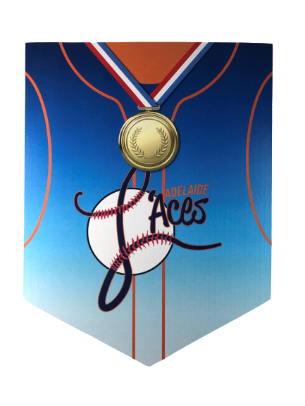 L’ACES Wall Shield