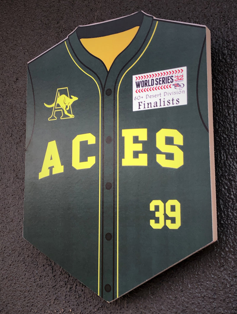 ACES Wall Shield