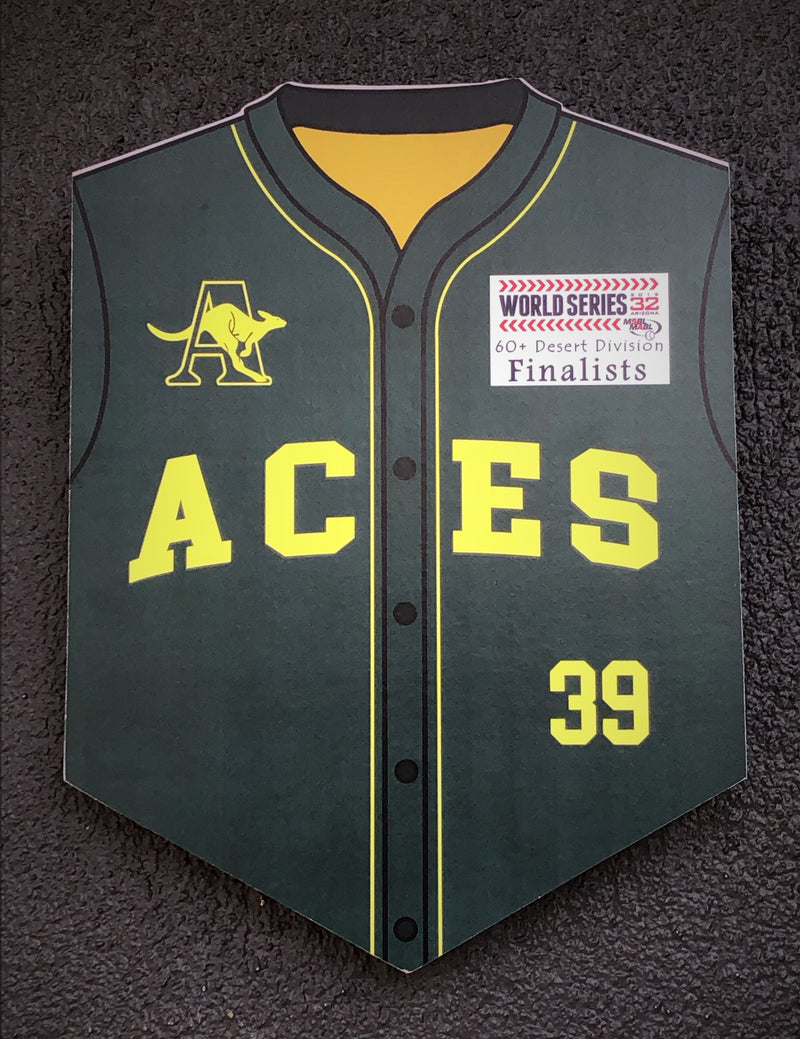 ACES Wall Shield