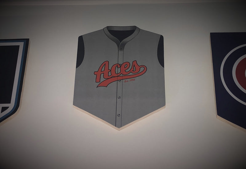 ACES Wall Shield