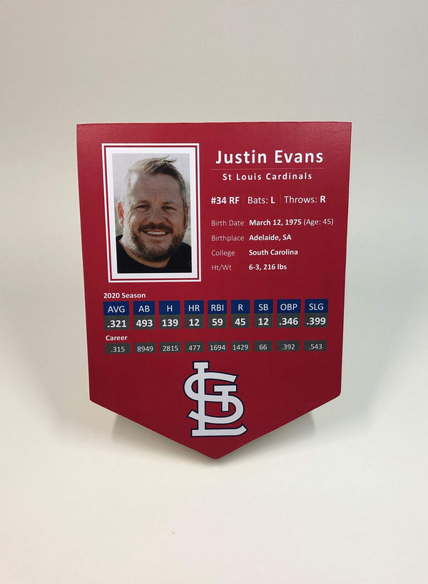 Personalised Baseball Player Stats Shield