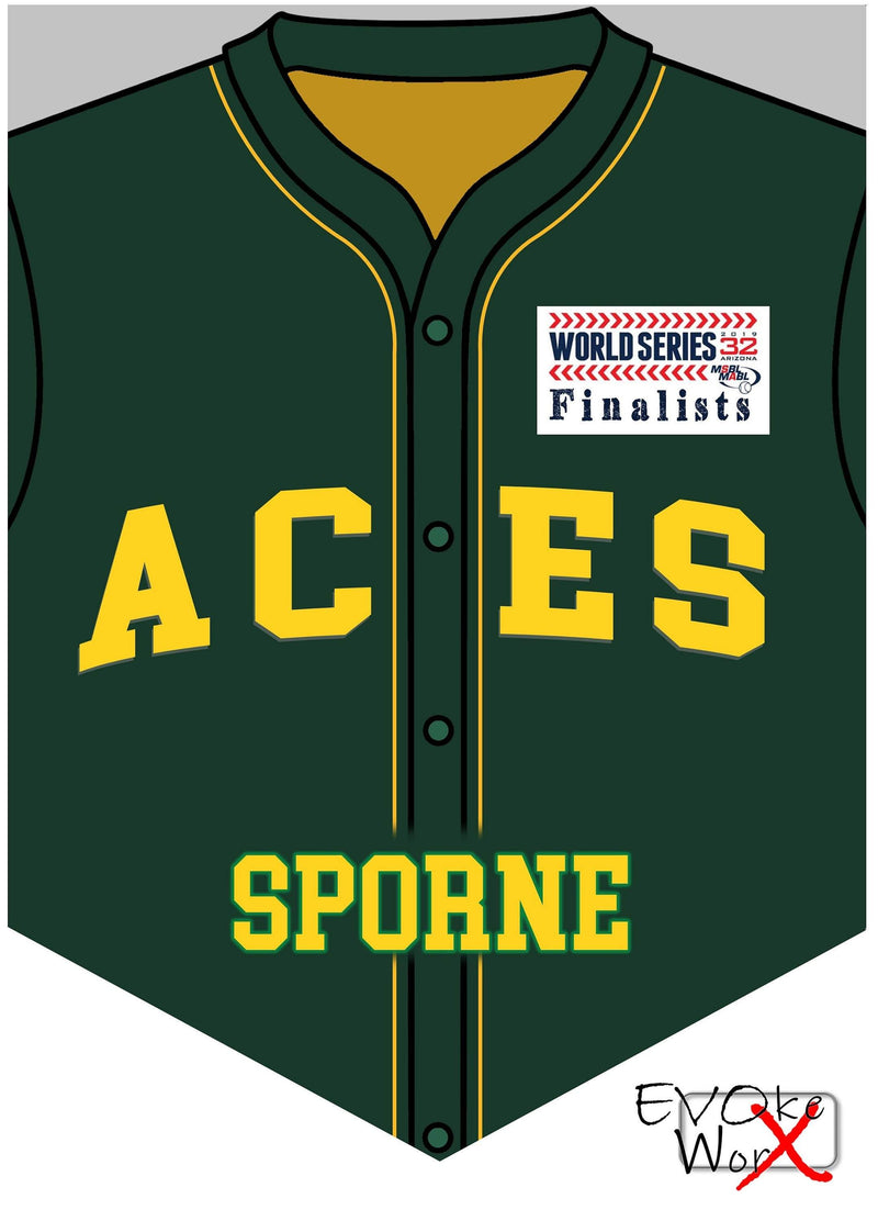 ACES Wall Shield