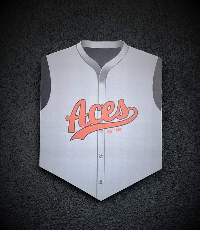 ACES Wall Shield